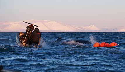 «МЫ ТАЩИЛИ ЕГО ПО МОРЮ 14 ЧАСОВ»