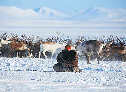 ФОТО: ВАДИМ МАТВЕИЧЕВ ФОТО: ВАДИМ МАТВЕИЧЕВ