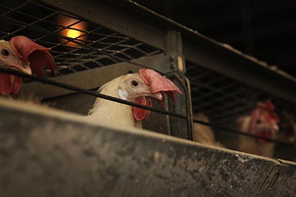 ФОТО: ВАДИМ МАТВЕИЧЕВ