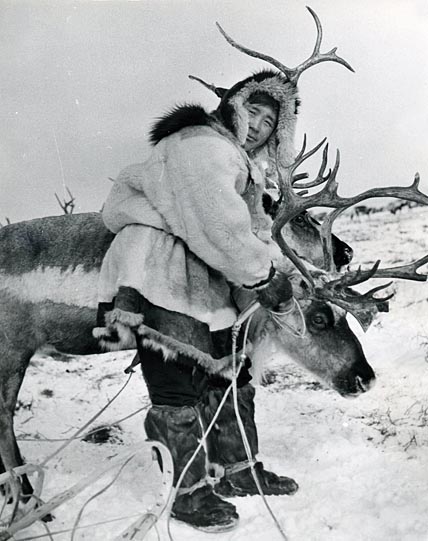 1969 год. Василий Номчайвын знакомит московских школьников с работой оленеводов в Канчаланской тундре. 1969 год. Василий Номчайвын знакомит московских школьников с работой оленеводов в Канчаланской тундре.