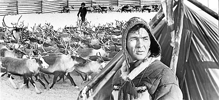 Любимый внук Тальвавтына много лет руководил бригадой, которая постоянно была лучшей в районе и на Чукотке. Любимый внук Тальвавтына много лет руководил бригадой, которая постоянно была лучшей в районе и на Чукотке.