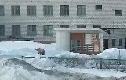 ФОТО: СОЦСЕТИ
