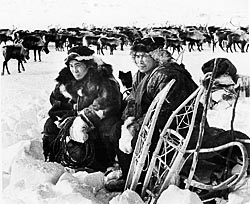 Ваеги. Бригадир Николай Нувано и его сын Влад (слева). ФОТО: из архива МИХАИЛА ГЕРМАШОВА Ваеги. Бригадир Николай Нувано и его сын Влад (слева). ФОТО: из архива МИХАИЛА ГЕРМАШОВА