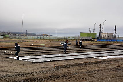 Новая спортивная площадка появится в центре Певека рядом с хоккейной коробкой и стадионом «Труд», который пока находится в плачевном состоянии. ФОТО: ГРИГОРИЙ СУГРОБОВ Новая спортивная площадка появится в центре Певека рядом с хоккейной коробкой и стадионом «Труд», который пока находится в плачевном состоянии. ФОТО: ГРИГОРИЙ СУГРОБОВ