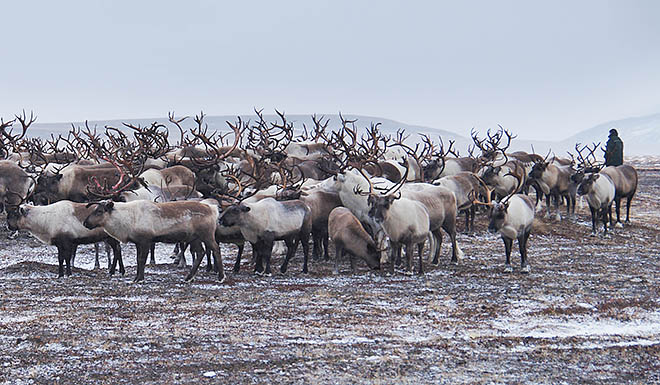ФОТО: МИХАИЛ ЗЕЛЕНСКИЙ ФОТО: МИХАИЛ ЗЕЛЕНСКИЙ