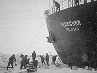 Чаунские киноистории