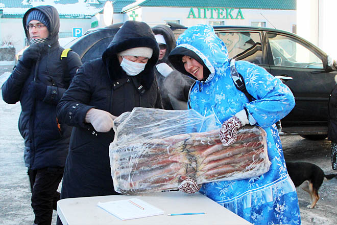 Красную рыбу, начиная с 2019 года, раздают землякам в Анадыре активисты ТСО КМНЧ «Ройыръын – Семья».  ФОТО: МИХАИЛ ГЕРМАШОВ