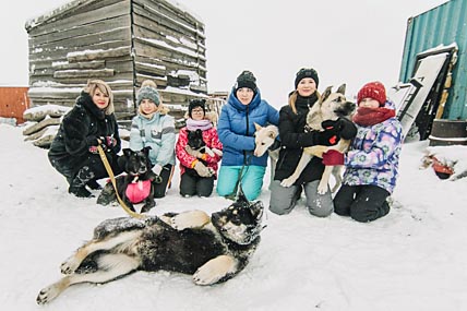СТЕРИЛИЗУЮТ И ЧИПИРУЮТ
