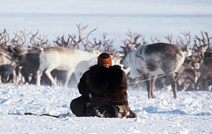 ФОТО: ВАДИМ МАТВЕИЧЕВ