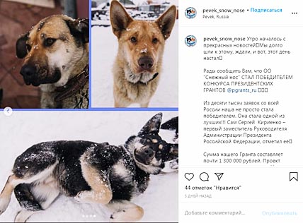«СНЕЖНЫЙ НОС» ПОПАЛ В ТОП