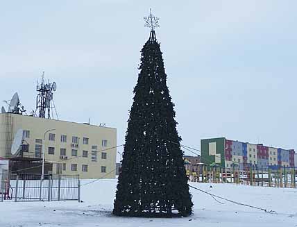 МЕЖ ТРЁХ ЁЛОК