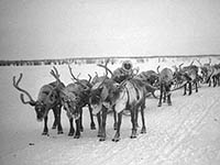 Великий перегон