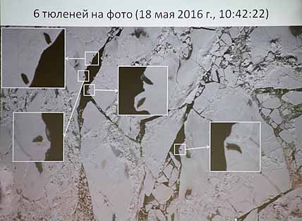 Особенности дешифрирования снимков, полученных во время авиасъёмок. Особенности дешифрирования снимков, полученных во время авиасъёмок.