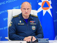 Глава МЧС поручил потушить все пожары в ДФО и Сибири меньше чем за неделю
