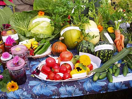 ЧУКОТСКИЙ ОВОЩ ВСЕГДА ВКУСНЕЕ