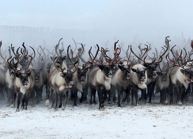 ФОТО: КОНСТАНТИН САВВА