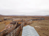 Крупнейшее оленеводческое хозяйство Чукотки СХП «Чаунское» завершило убойную кампанию