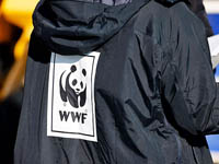 WWF уходит с Чукотки