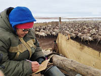 Ставка на рост поголовья