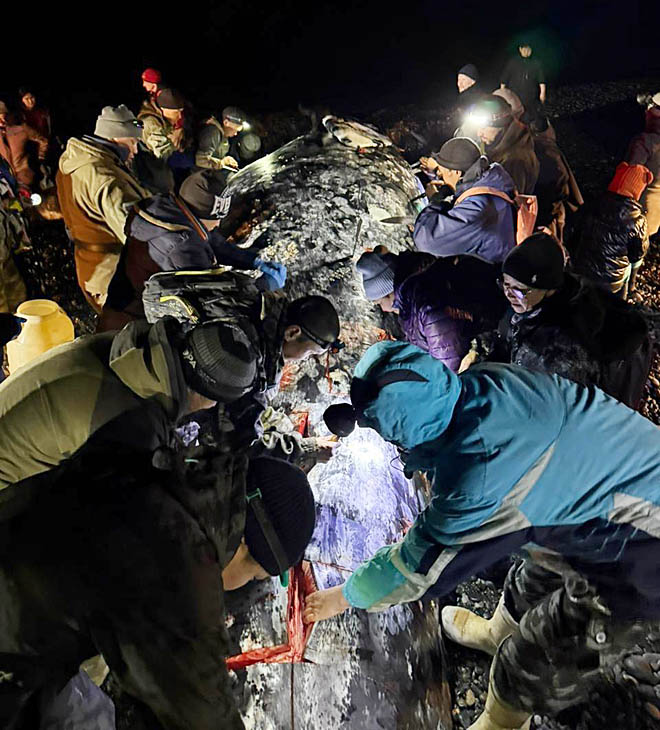 ФОТО: ИЗ АРХИВА ТСО «НУНЛИГРАН»