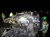 Квоту освоили и хотят ещё