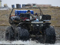 В поисках умки – по кольцевому маршруту