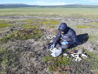 Находки сезона превзошли ожидания