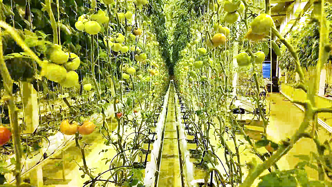 ФОТО: ПРЕСС-СЛУЖБА ПРАВИТЕЛЬСТВА ЧУКОТСКОГО АО