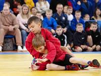 День самбо встретили на ковре