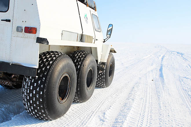 ФОТО: НИКИТА ШАЛАГИНОВ