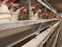 Резидент продбезопасности