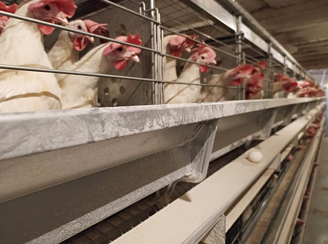 ФОТО: ИЗ АРХИВА АЛЕКСЕЯ КОРЕПОВА