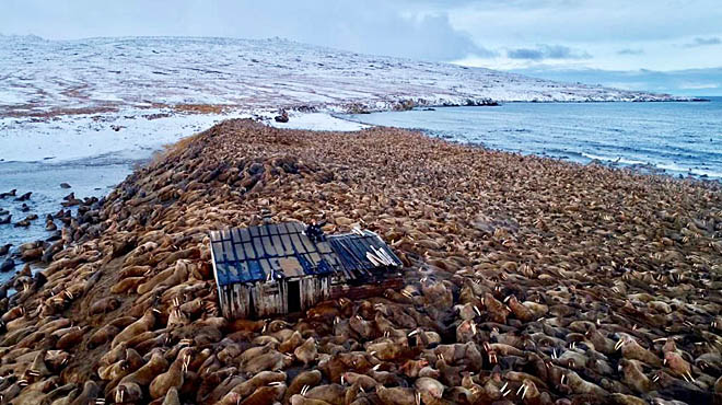 ФОТО: МАКСИМ АРБУГАЕВ