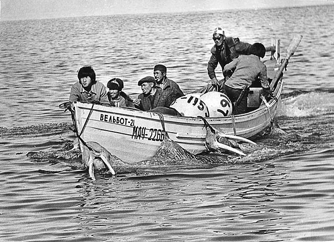 Охотники передовой бригады Афанасия Тнавуквутагина почти всегда возвращались из моря с богатой добычей.