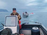 Зима пришла, охота продолжается