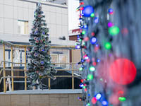 Скоро будет ёлка