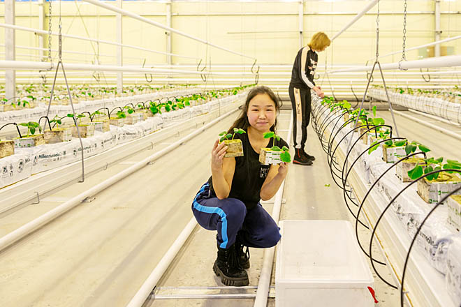 Высаживать огуречную рассаду в новой теплице активно помогали студенты Чукотского многопрофильного колледжа – будущие овощеводы. ФОТО: ЗЕМФИРА АЗАМАТОВА