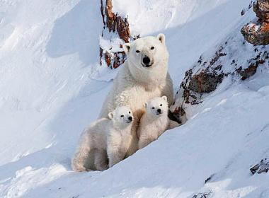 ФОТО: АЛЕКСЕЙ БЕЗРУКОВ