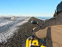 Между человеком и зверем