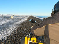 Между человеком и зверем