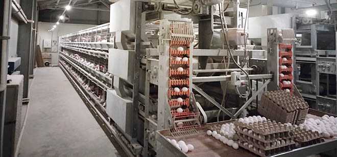 ФОТО: ДЕНИС НИКИТИН